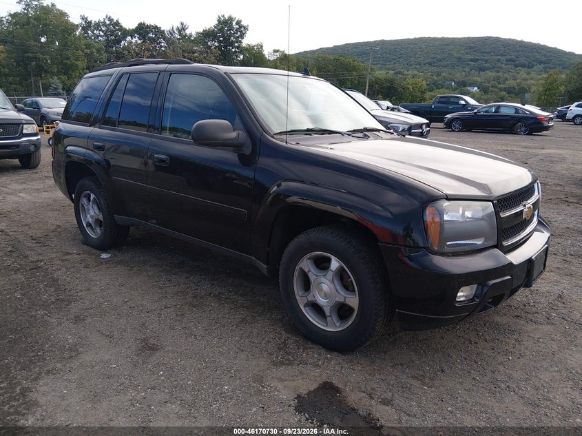 2008 CHEVROLET TRAILBLAZER LT | 1GNDT13S782238379 | UPCARS