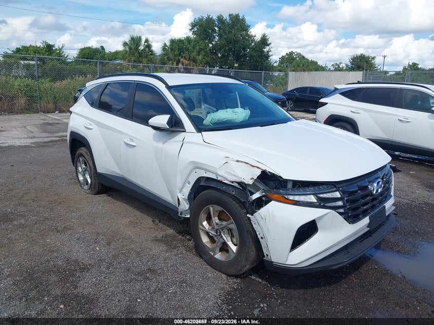 2024 HYUNDAI TUCSON SEL | 5NMJBCDEXRH428113 | UPCARS