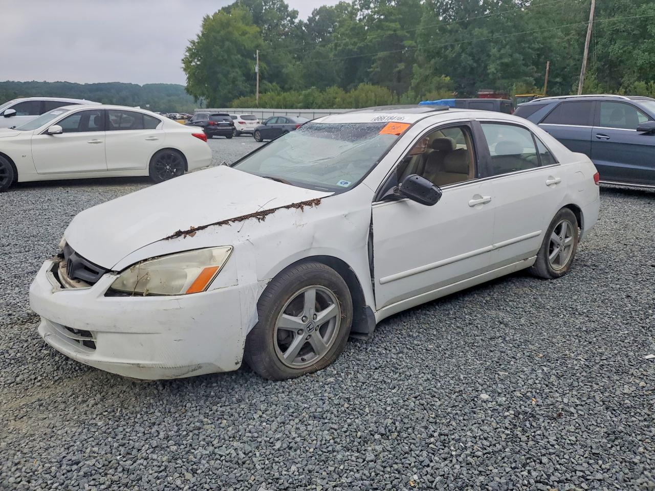2005 HONDA ACCORD EX | 1HGCM56895A186295 | UPCARS