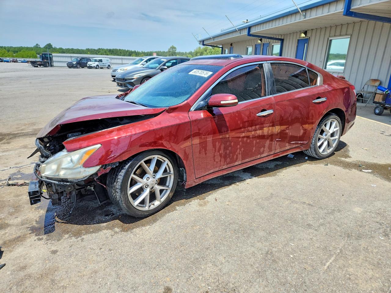 2009 NISSAN MAXIMA S/SV | 1N4AA51E49C817935 | UPCARS