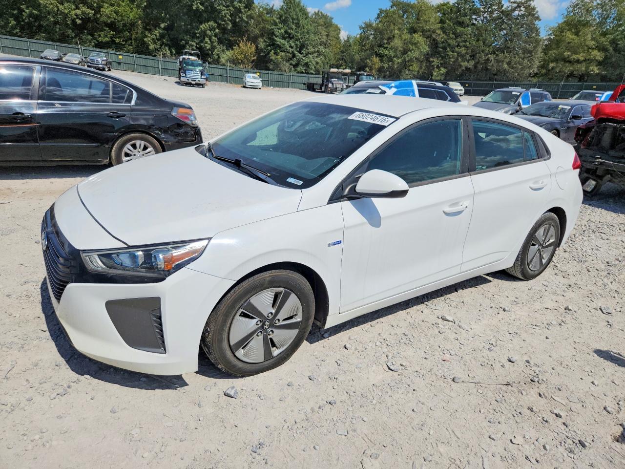 2019 HYUNDAI IONIQ BLUE | KMHC65LC6KU171213 | UPCARS