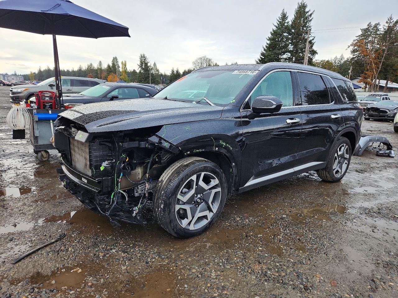 2025 HYUNDAI PALISADE LIMITED | KM8R5DGE3SU895606 | UPCARS