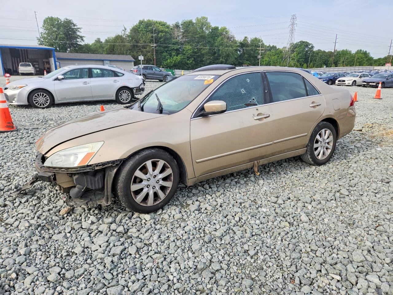 2006 HONDA ACCORD EX | 1HGCM66536A004491 | UPCARS