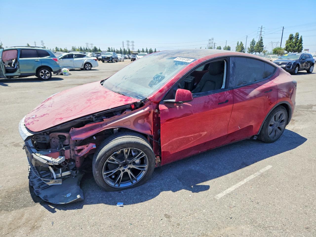 2024 TESLA MODEL Y | 7SAYGDEDXRF193356 | UPCARS