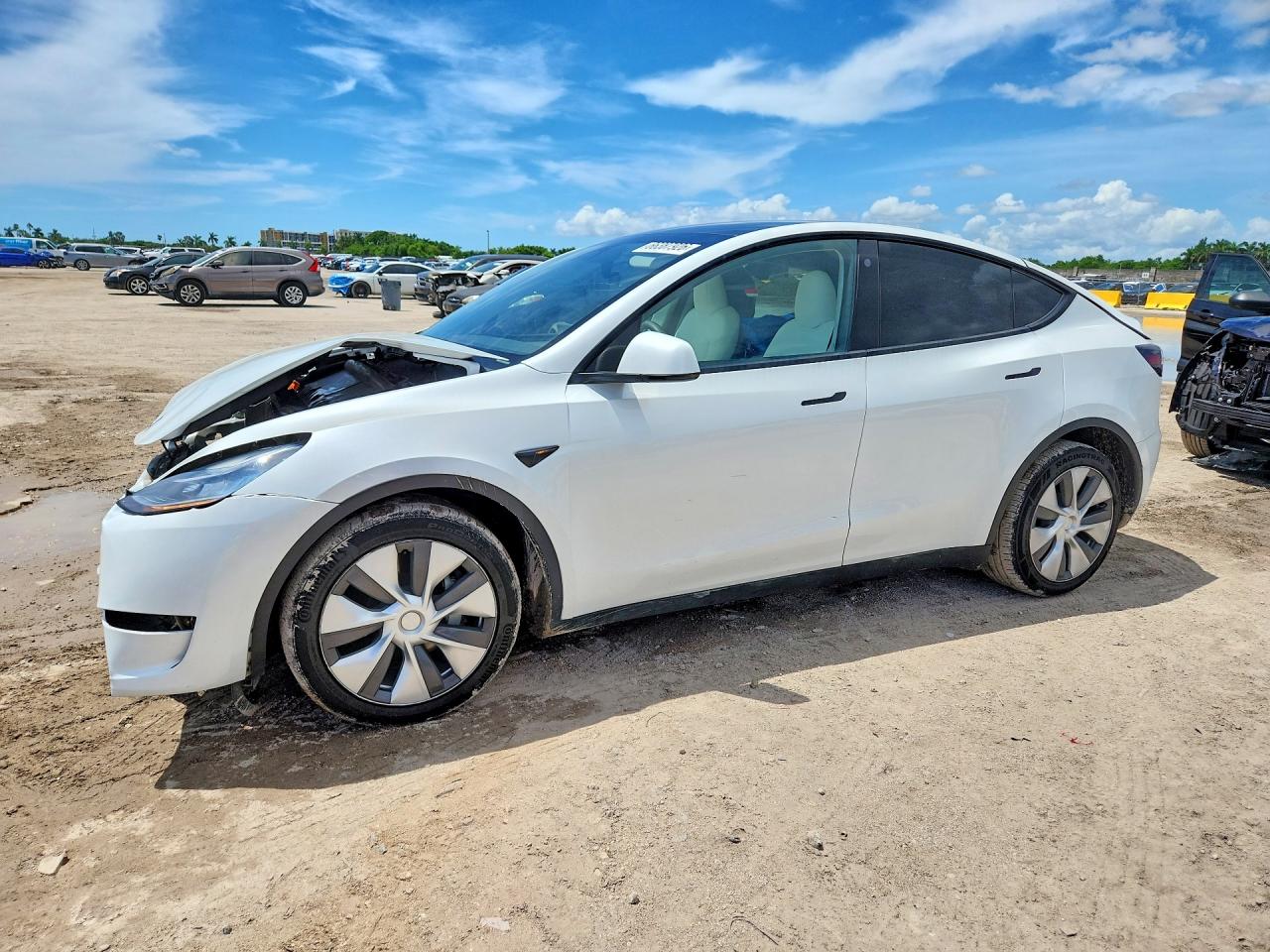 2023 TESLA MODEL Y | 7SAYGDEE9PA097981 | UPCARS