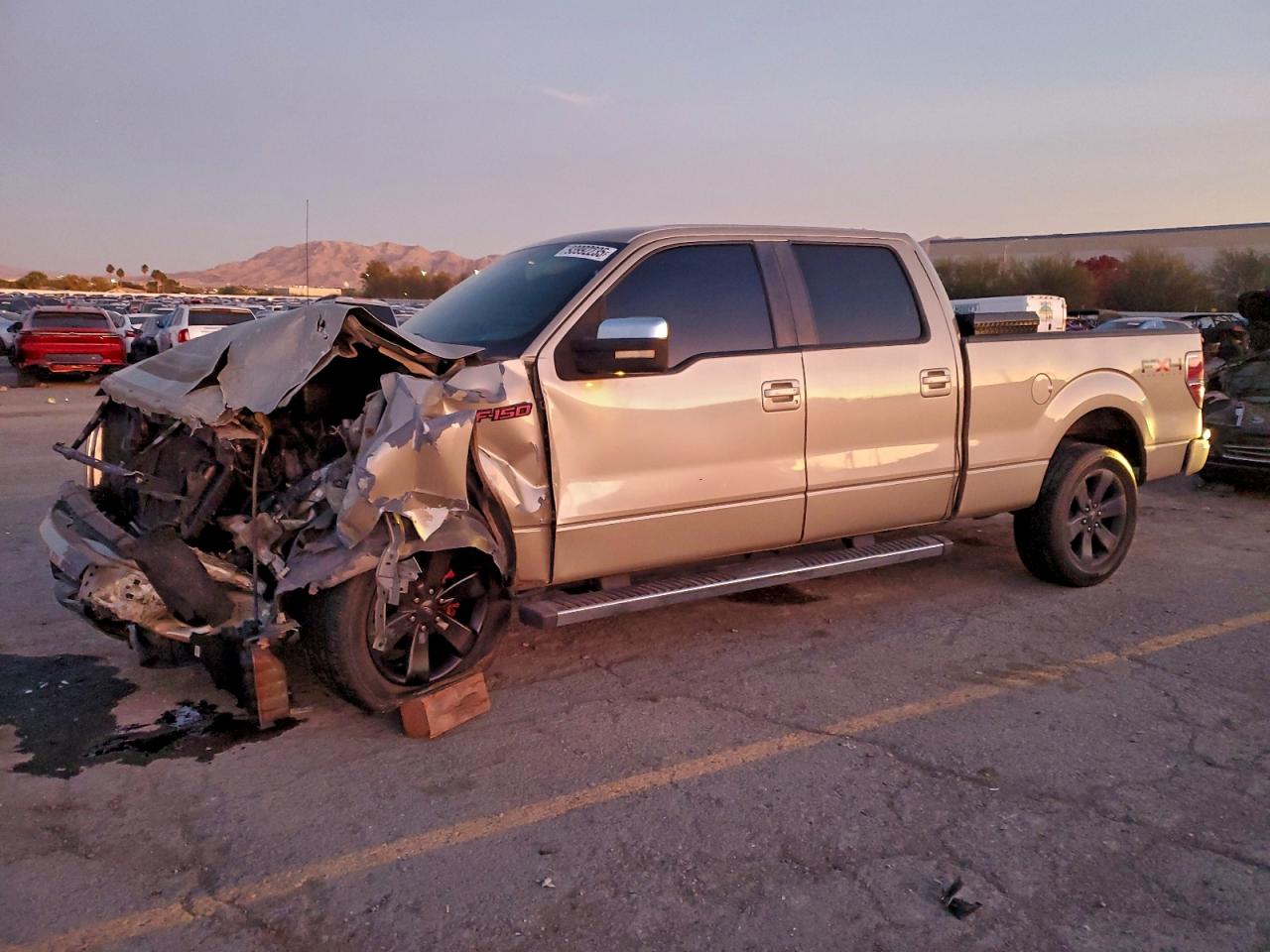 2009 FORD F150 SUPERCREW | 1FTRW12829FA04138 | UPCARS