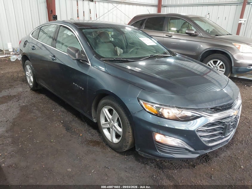 2019 CHEVROLET MALIBU 1FL | 1G1ZC5ST4KF171216 | UPCARS