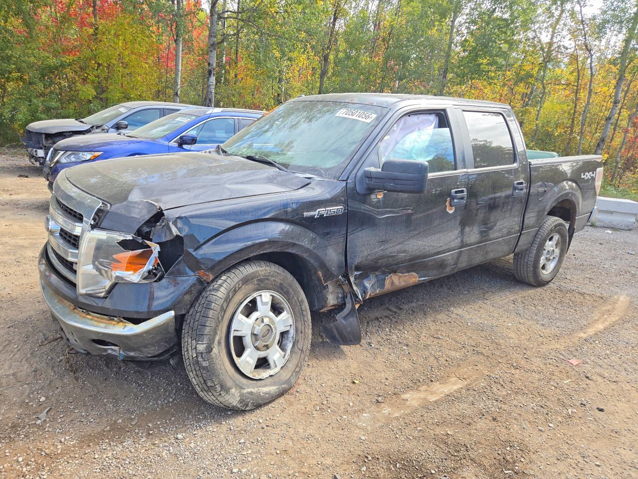 2014 FORD F150 SUPERCREW | 1FTFW1EF4EKF97502 | UPCARS