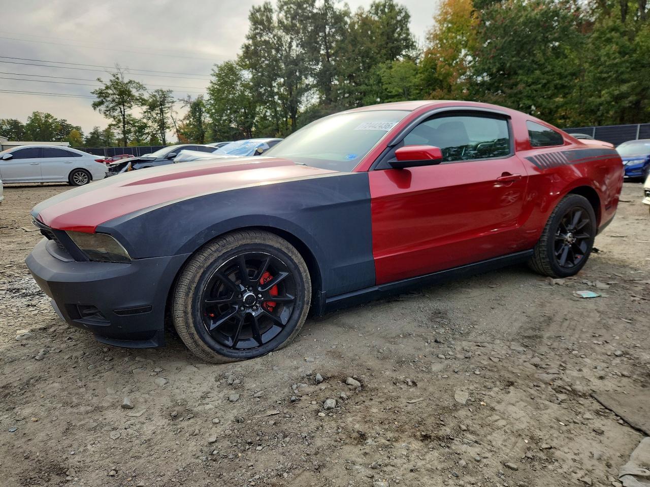 2010 FORD MUSTANG | 1ZVBP8AN1A5123224 | UPCARS