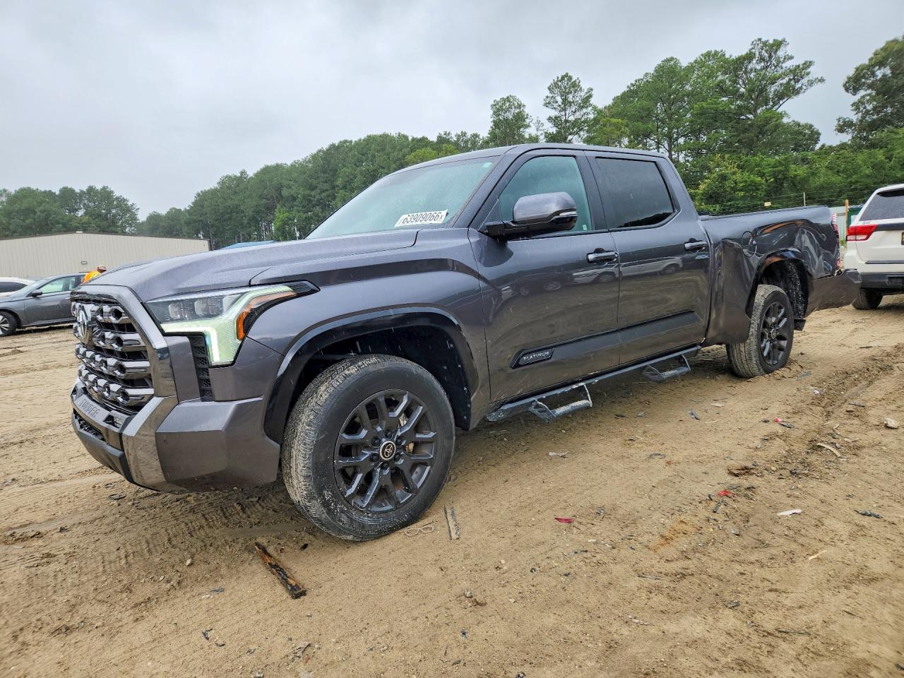 2024 TOYOTA TUNDRA PLATINUM | 5TFNA5EC3RX031203 | UPCARS