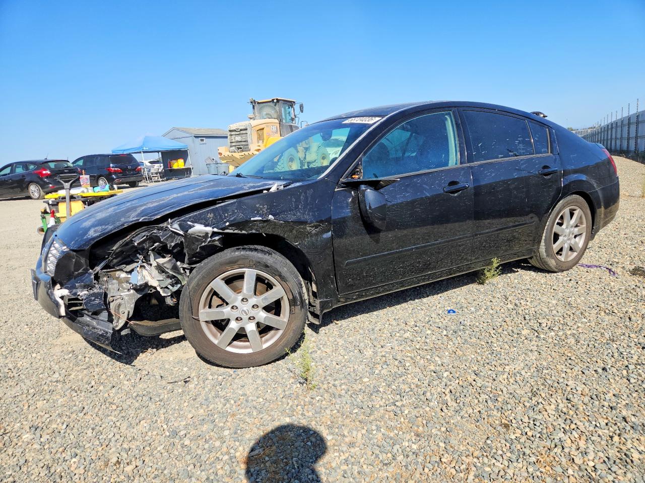 2006 NISSAN MAXIMA 3.5 SE | 1N4BA41E46C828170 | UPCARS