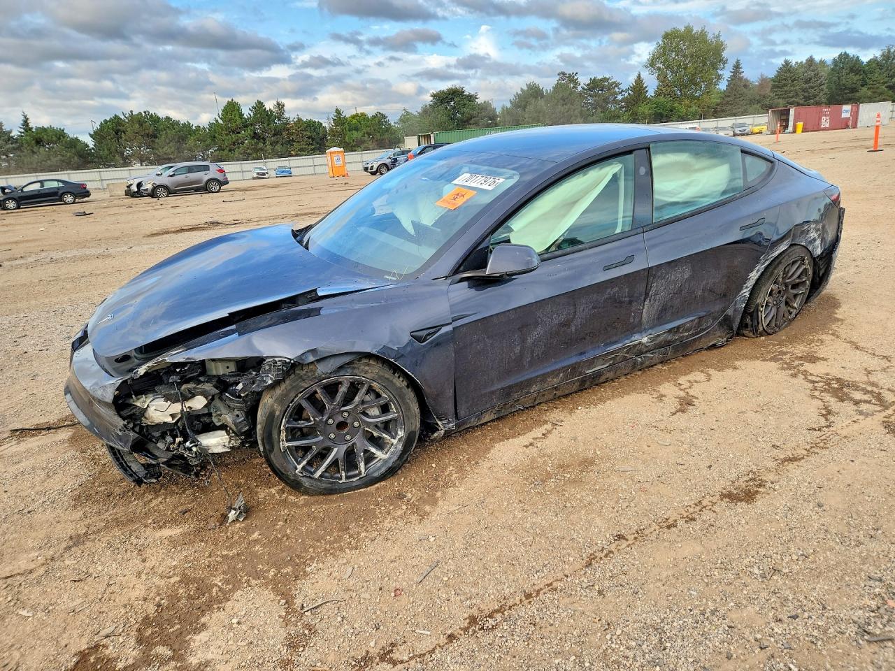 2025 TESLA MODEL 3 | 5YJ3E1EA3SF917007 | UPCARS