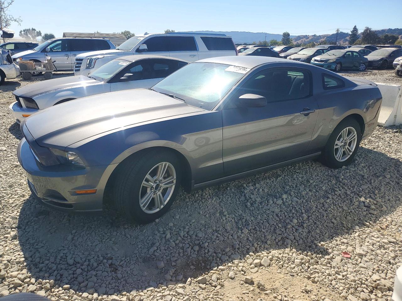 2013 FORD MUSTANG | 1ZVBP8AM9D5255529 | UPCARS