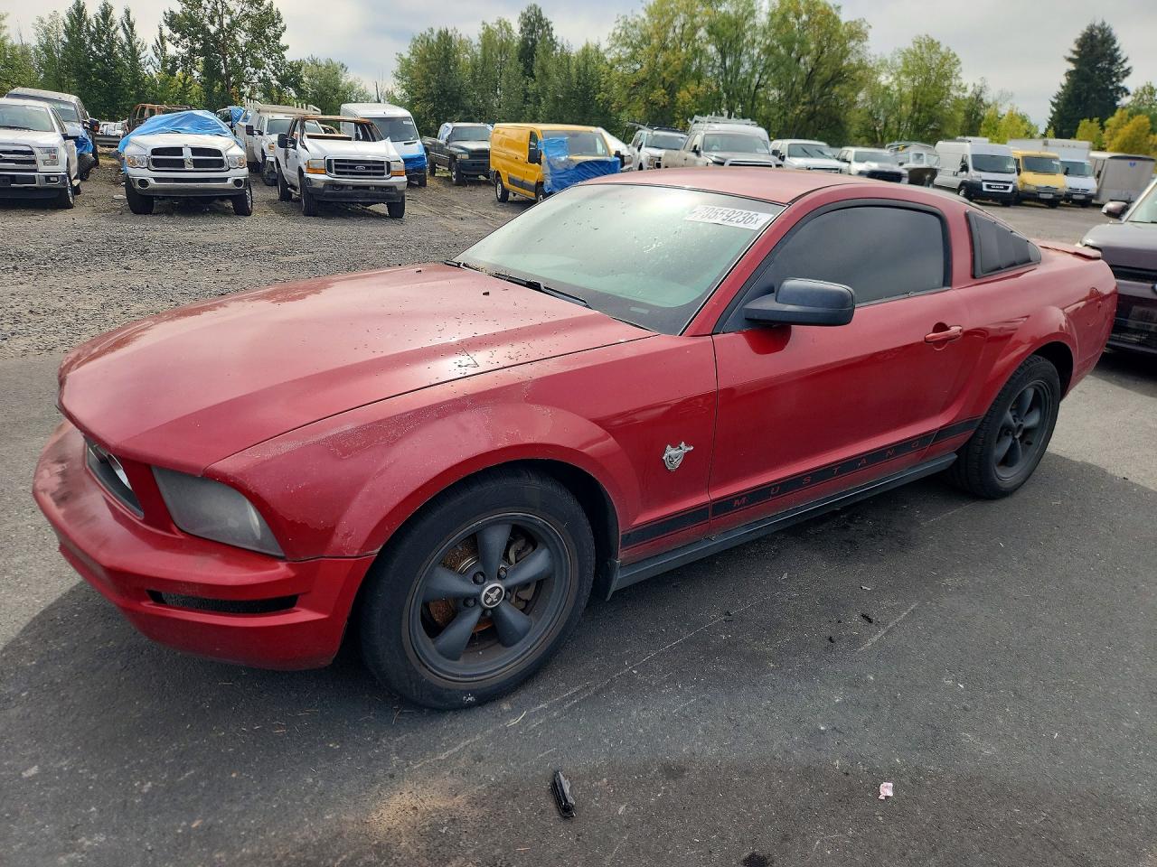 2009 FORD MUSTANG | 1ZVHT80N495111202 | UPCARS