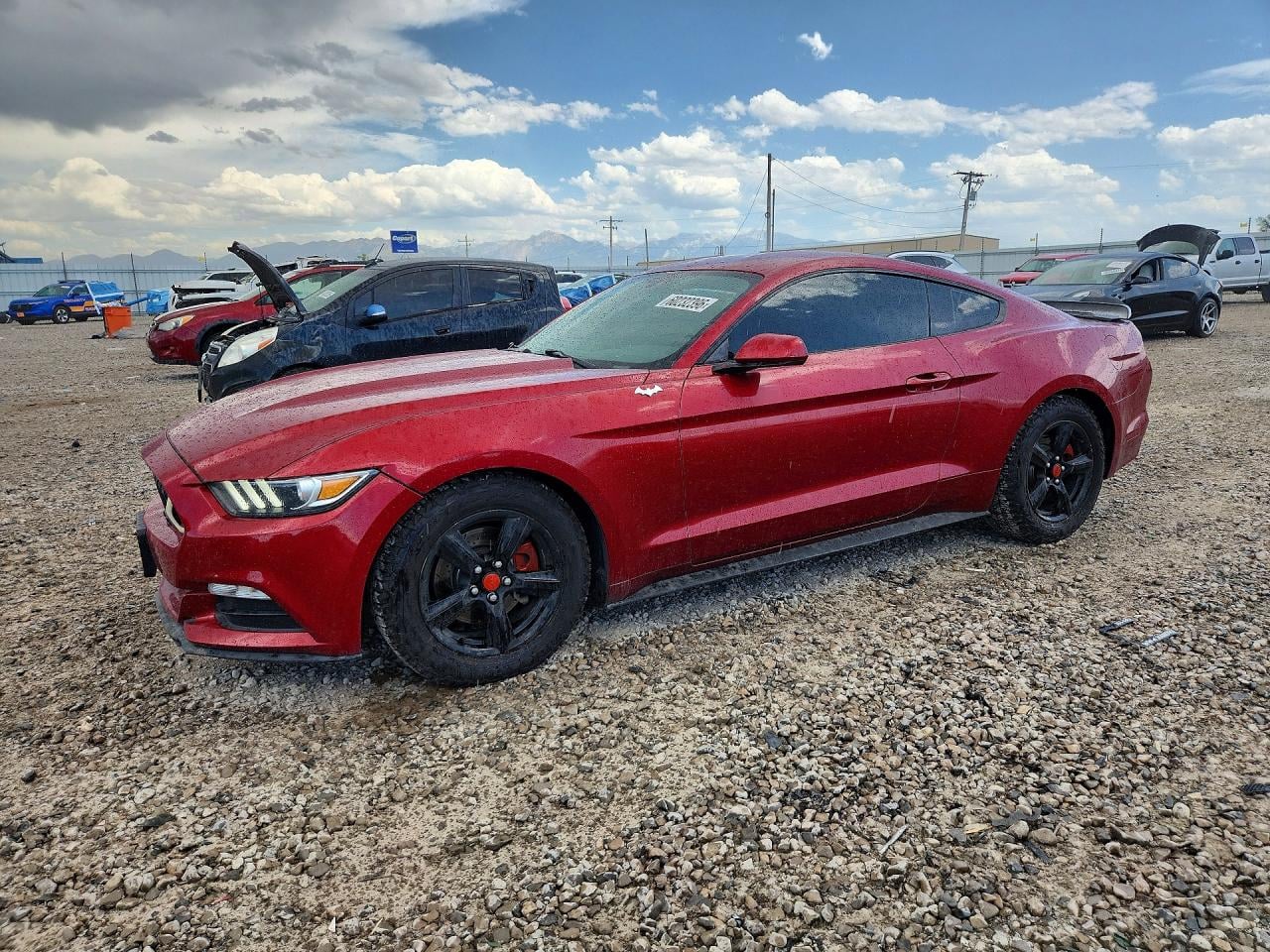 2017 FORD MUSTANG | 1FA6P8AM5H5353537 | UPCARS