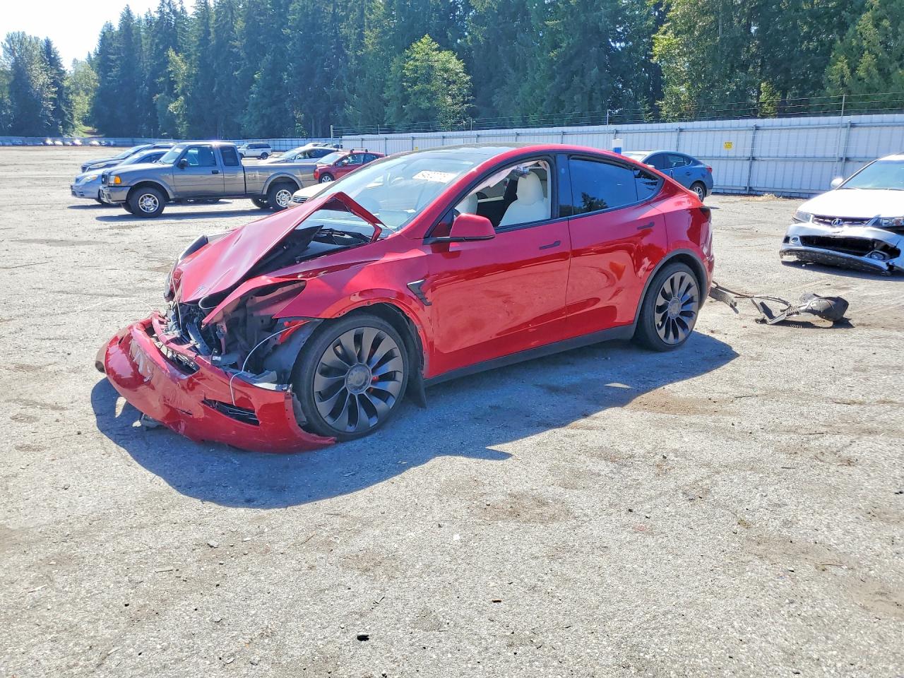 2023 TESLA MODEL Y | 7SAYGDEF3PF894609 | UPCARS