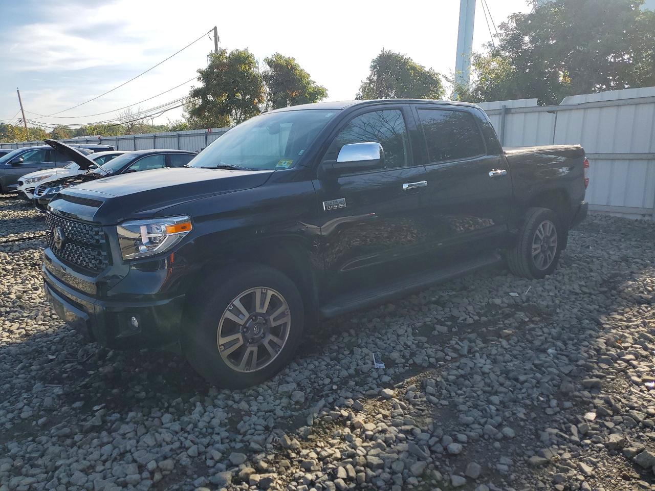 2019 TOYOTA TUNDRA PLATINUM | 5TFAY5F1XKX795353 | UPCARS