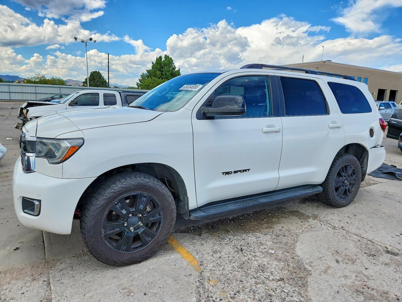 2018 TOYOTA SEQUOIA TRD SPORT | 5TDBY5G14JS160264 | UPCARS