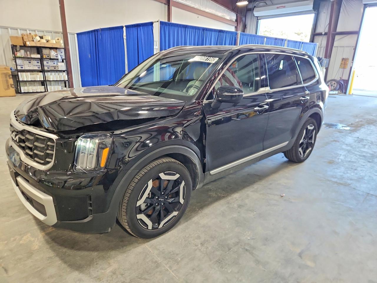2025 KIA TELLURIDE S | 5XYP6DGC3SG653178 | UPCARS
