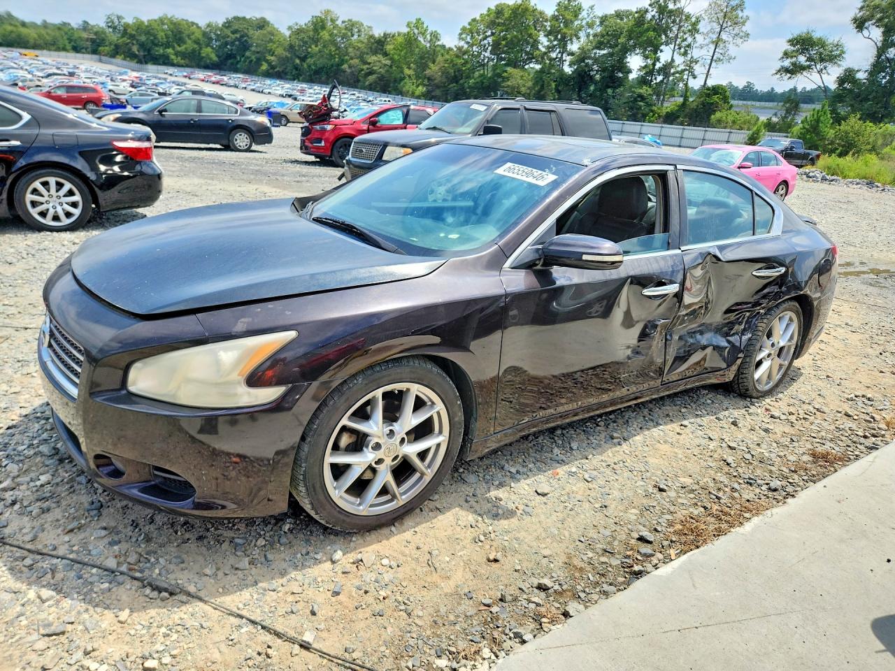 2010 NISSAN MAXIMA 3.5 S | 1N4AA5AP5AC802124 | UPCARS