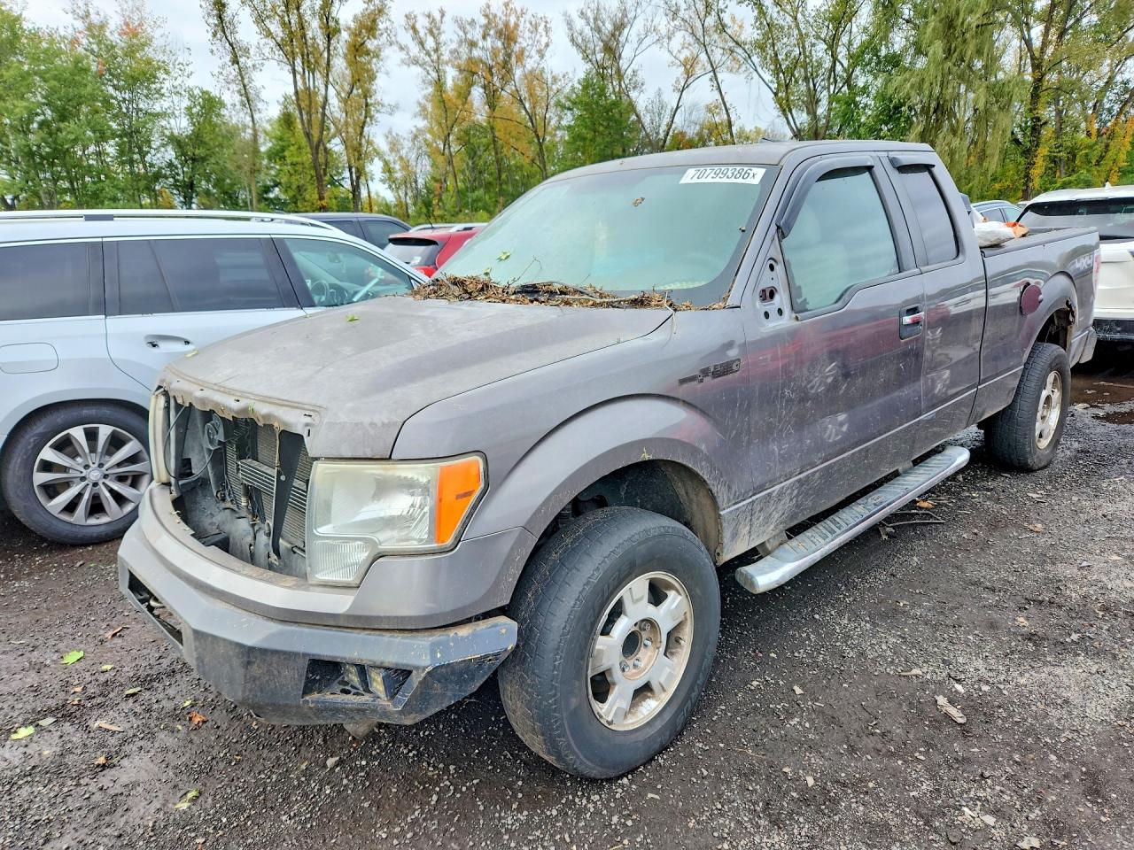 2010 FORD F150 SUPER CAB | 1FTFX1EVXAFB87598 | UPCARS