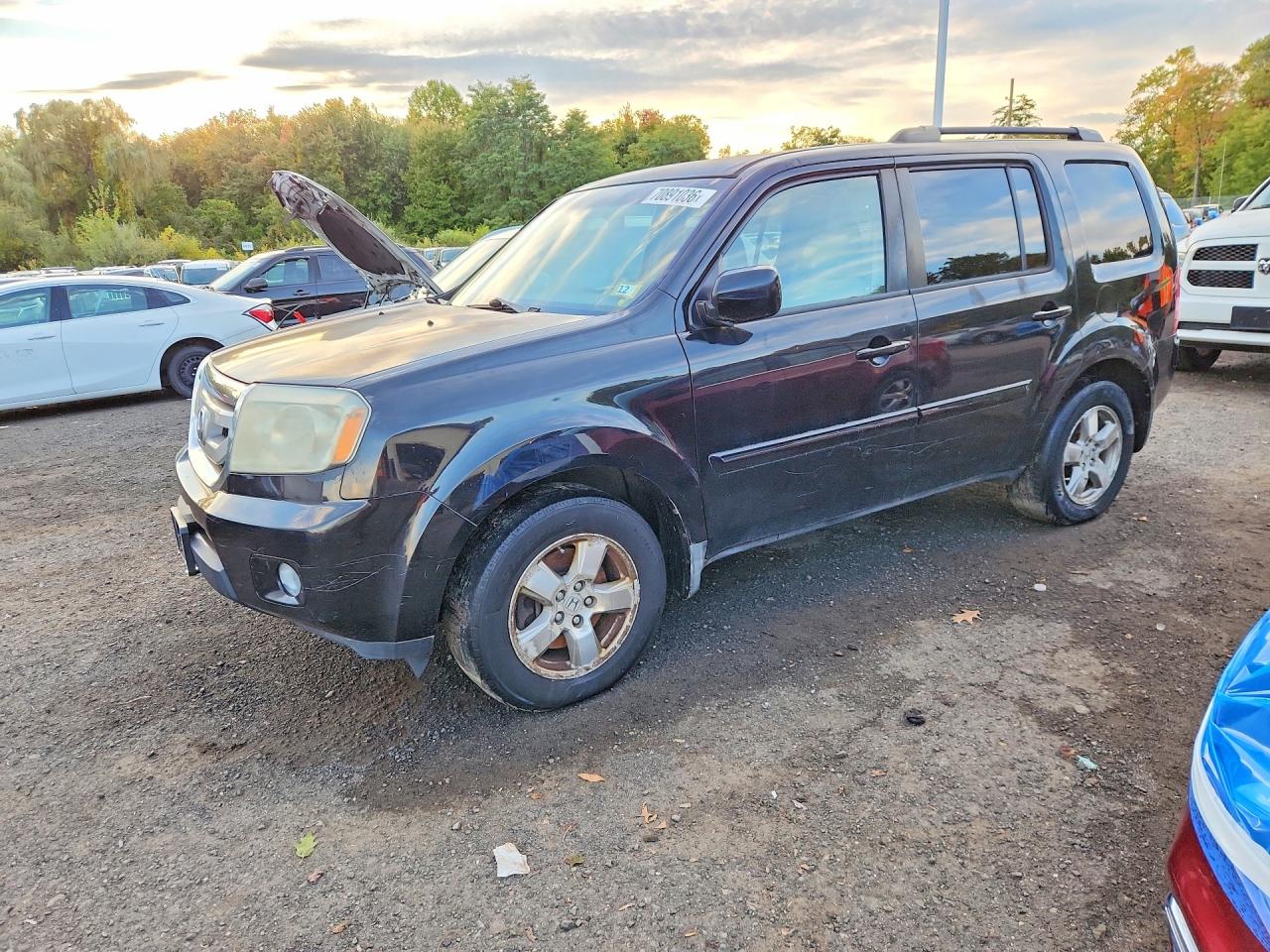2010 HONDA PILOT EX | 5FNYF4H48AB014554 | UPCARS