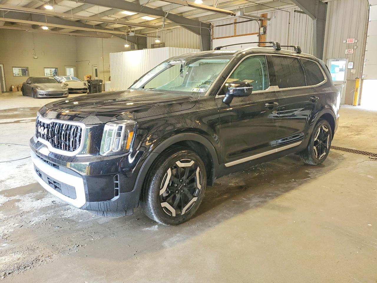 2024 KIA TELLURID EX | 5XYP3DGC9RG529323 | UPCARS