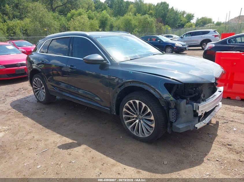 2019 AUDI E-TRON PREMIUM PLUS | WA1VAAGE5KB024967 | UPCARS