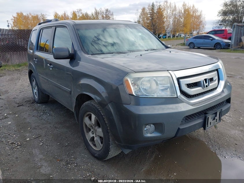 2009 HONDA PILOT EX-L | 5FNYF48629B011954 | UPCARS
