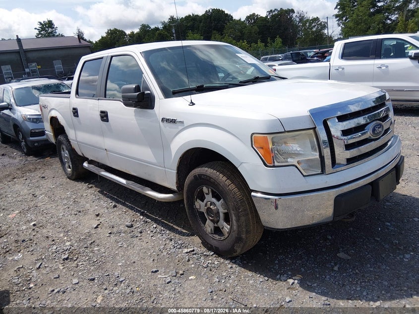 2010 FORD F-150 XL/XLT | 1FTEW1E83AFA72205 | UPCARS