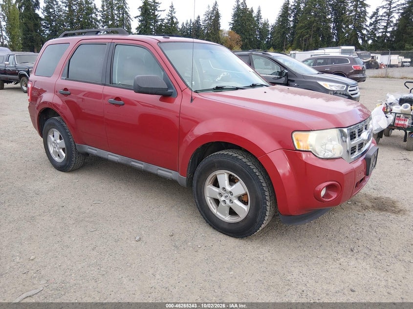 2009 FORD ESCAPE XLT | 1FMCU93G89KB96104 | UPCARS