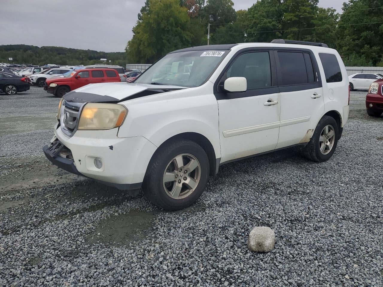 2009 HONDA PILOT EXL | 5FNYF48529B046212 | UPCARS
