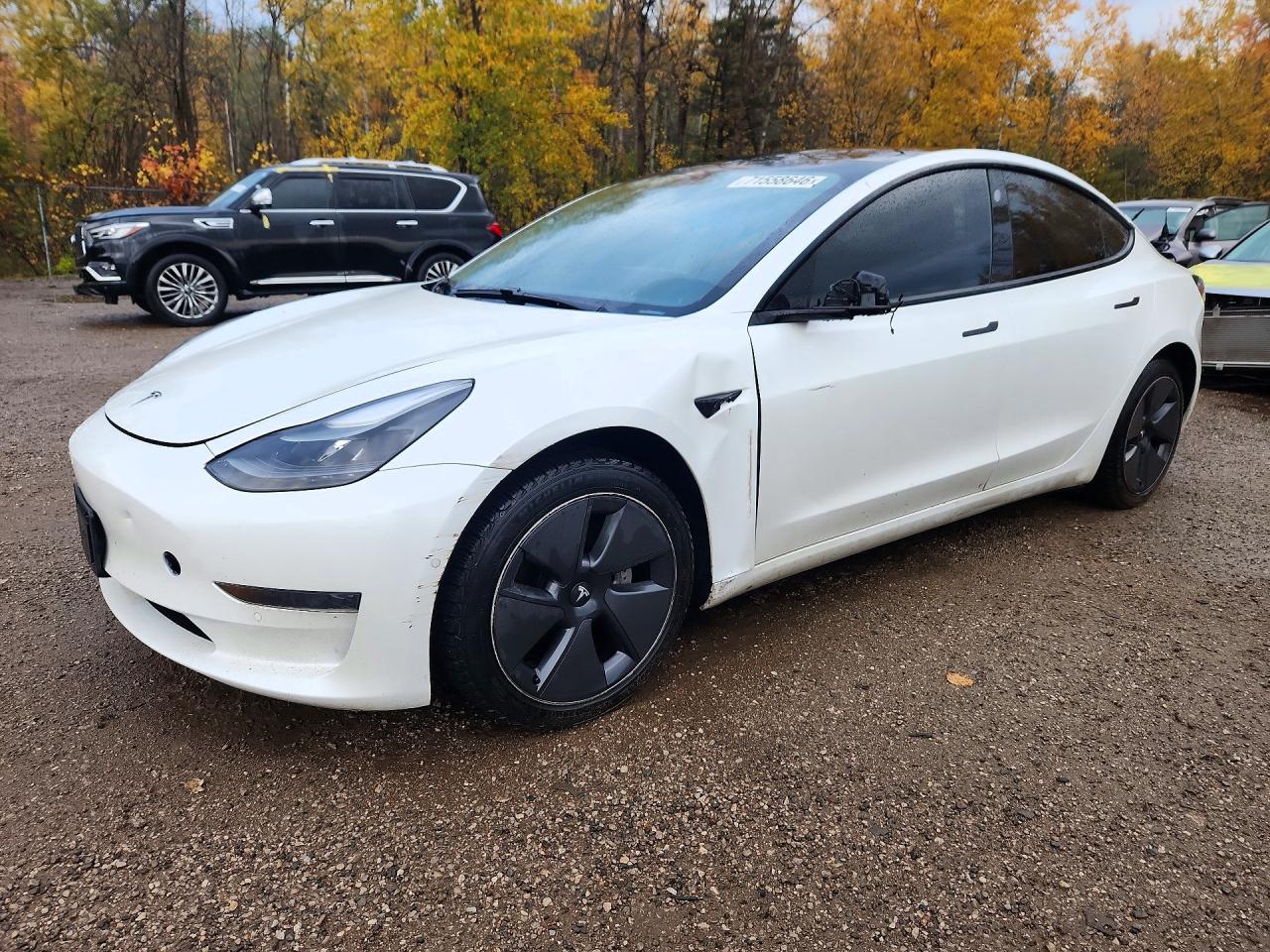 2021 TESLA MODEL 3 | 5YJ3E1EA2MF918507 | UPCARS