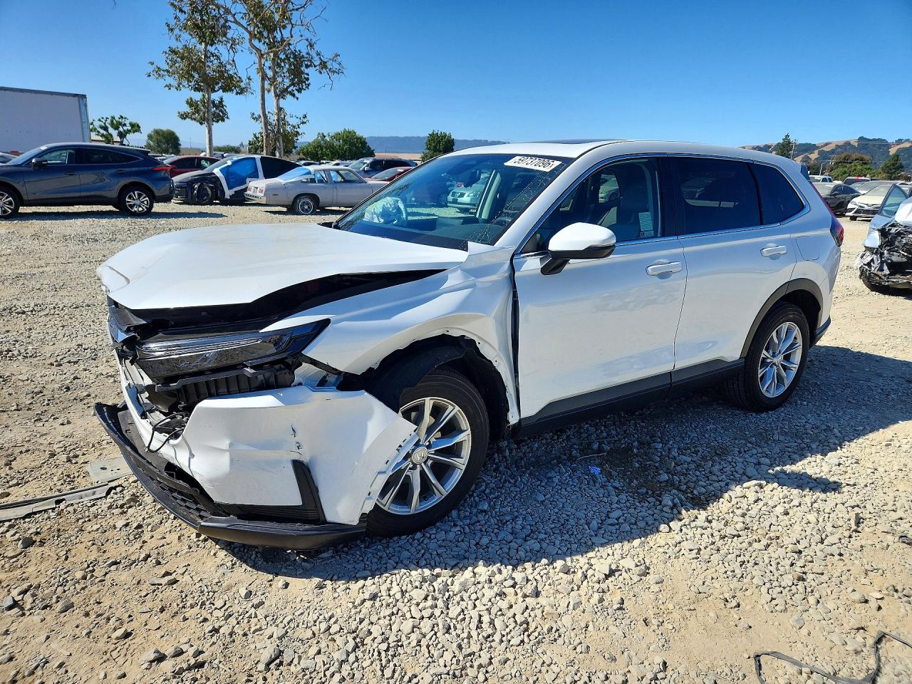 2024 HONDA CRV EX | 7FARS4H49RE014403 | UPCARS