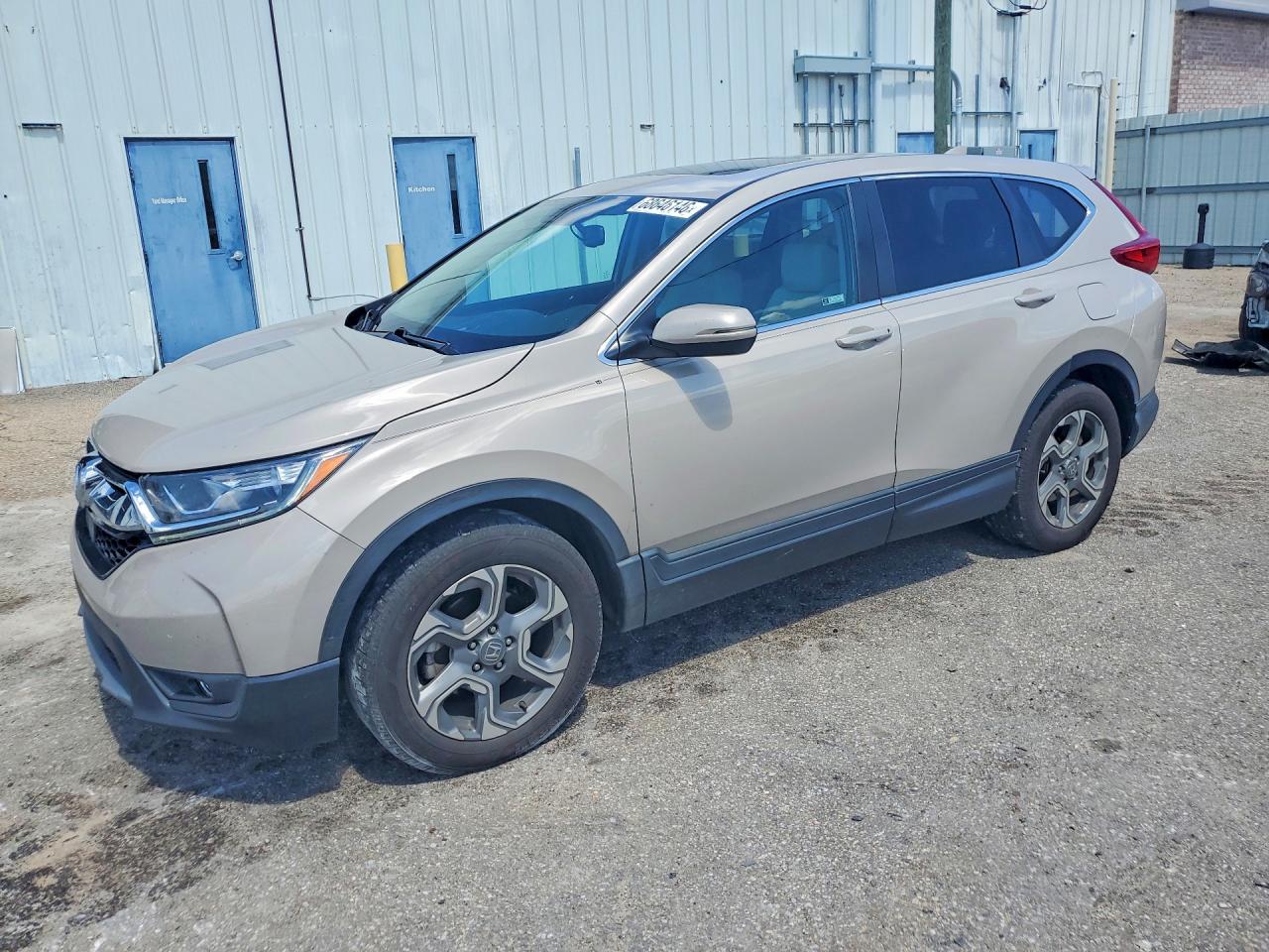 2019 HONDA CRV EXL | 2HKRW1H89KH501643 | UPCARS