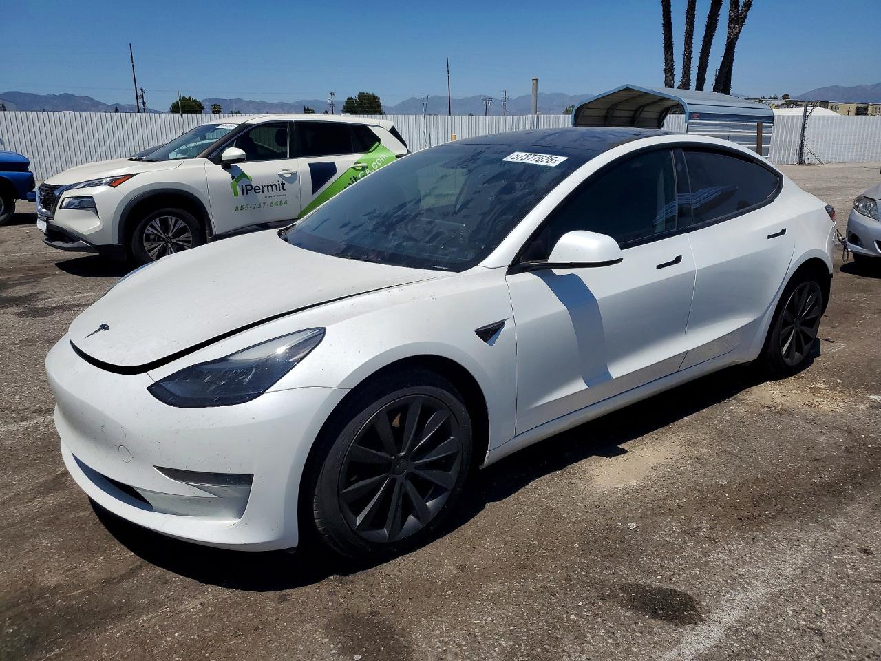 2023 TESLA MODEL 3 | 5YJ3E1EAXPF541218 | UPCARS