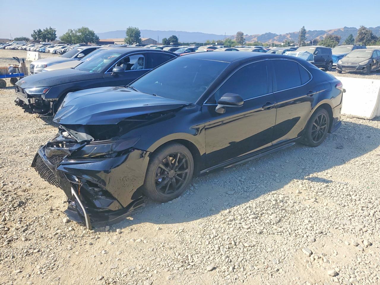 2019 TOYOTA CAMRY SE | 4T1B11HKXKU775401 | UPCARS