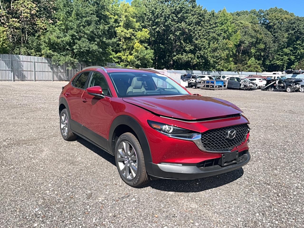 2026 MAZDA CX30 PREFERRED | 3MVDMBCL5TM134171 | UPCARS