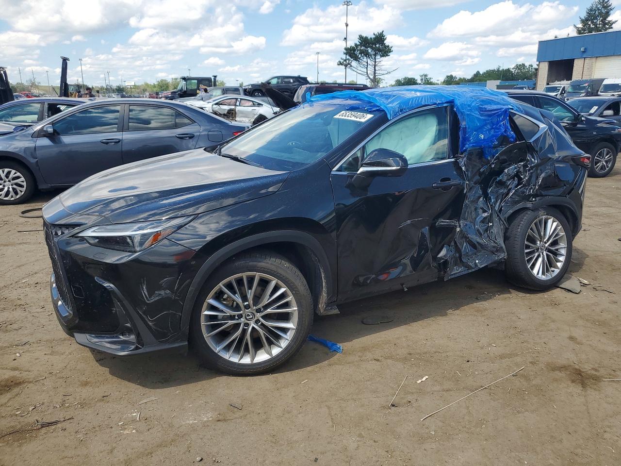 2025 LEXUS NX LUXURY | 2T2HKCEZ4SC053682 | UPCARS