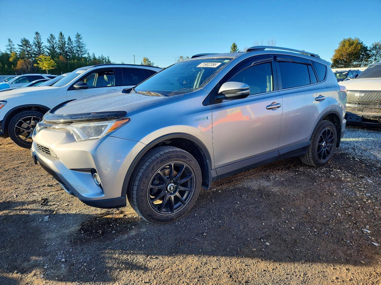 2017 TOYOTA RAV4 XLE | JTMRJREV3HD091461 | UPCARS