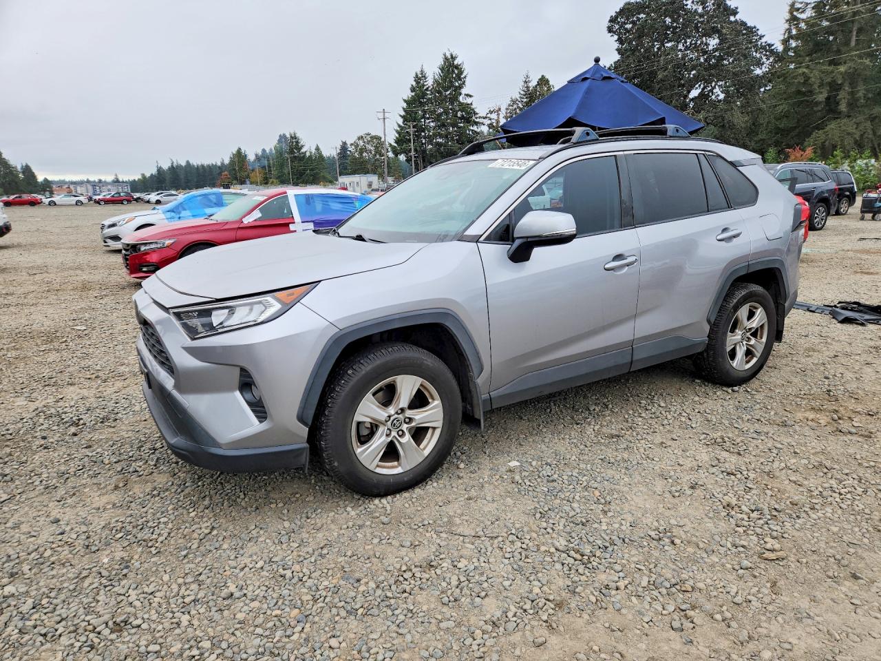 2019 TOYOTA RAV4 XLE | JTMW1RFV4KJ016892 | UPCARS