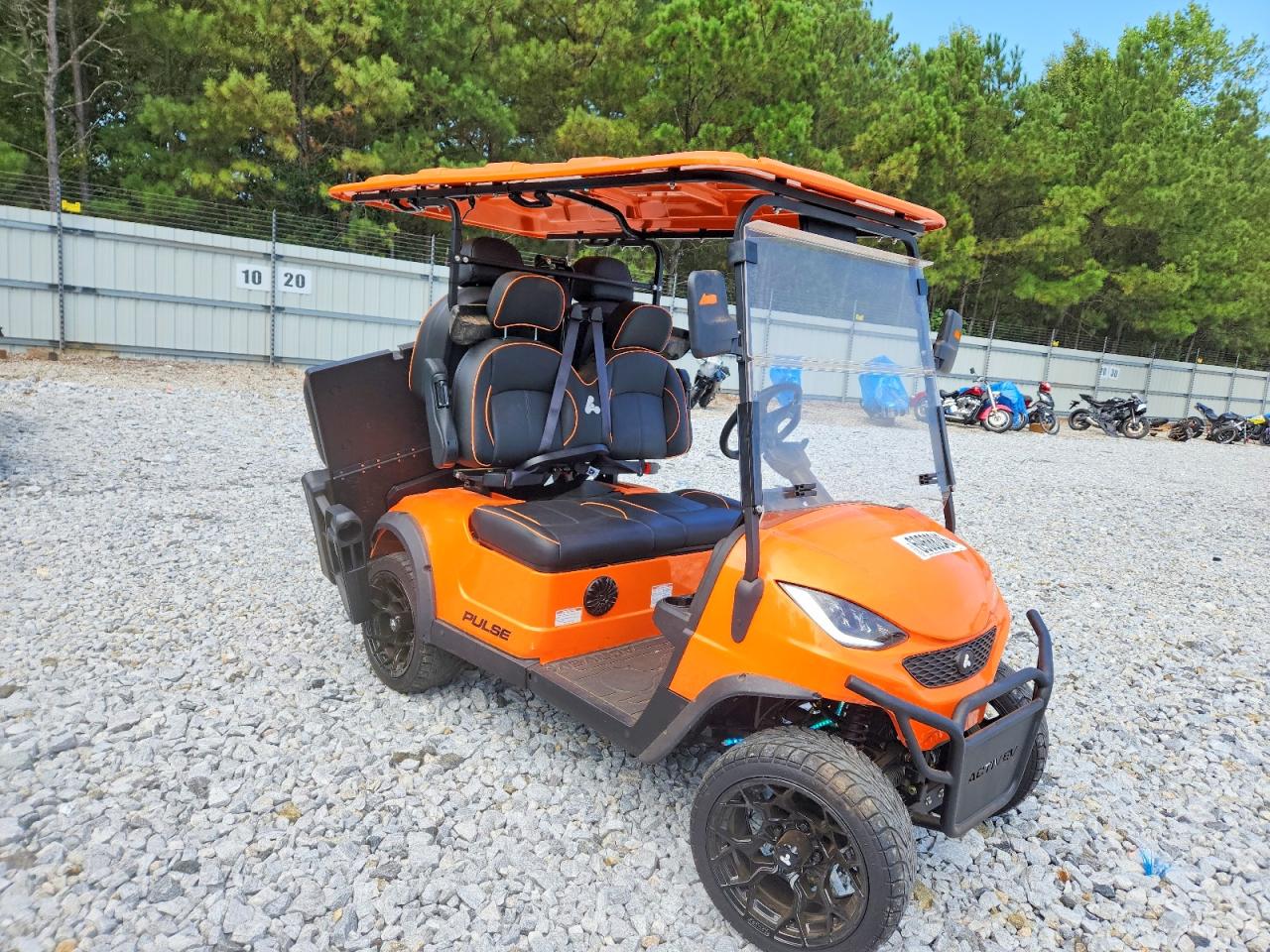 2024 UNKNOWN UNKNOWN PULSE GOLF CART | 7W8SA4214RL000313 | UPCARS
