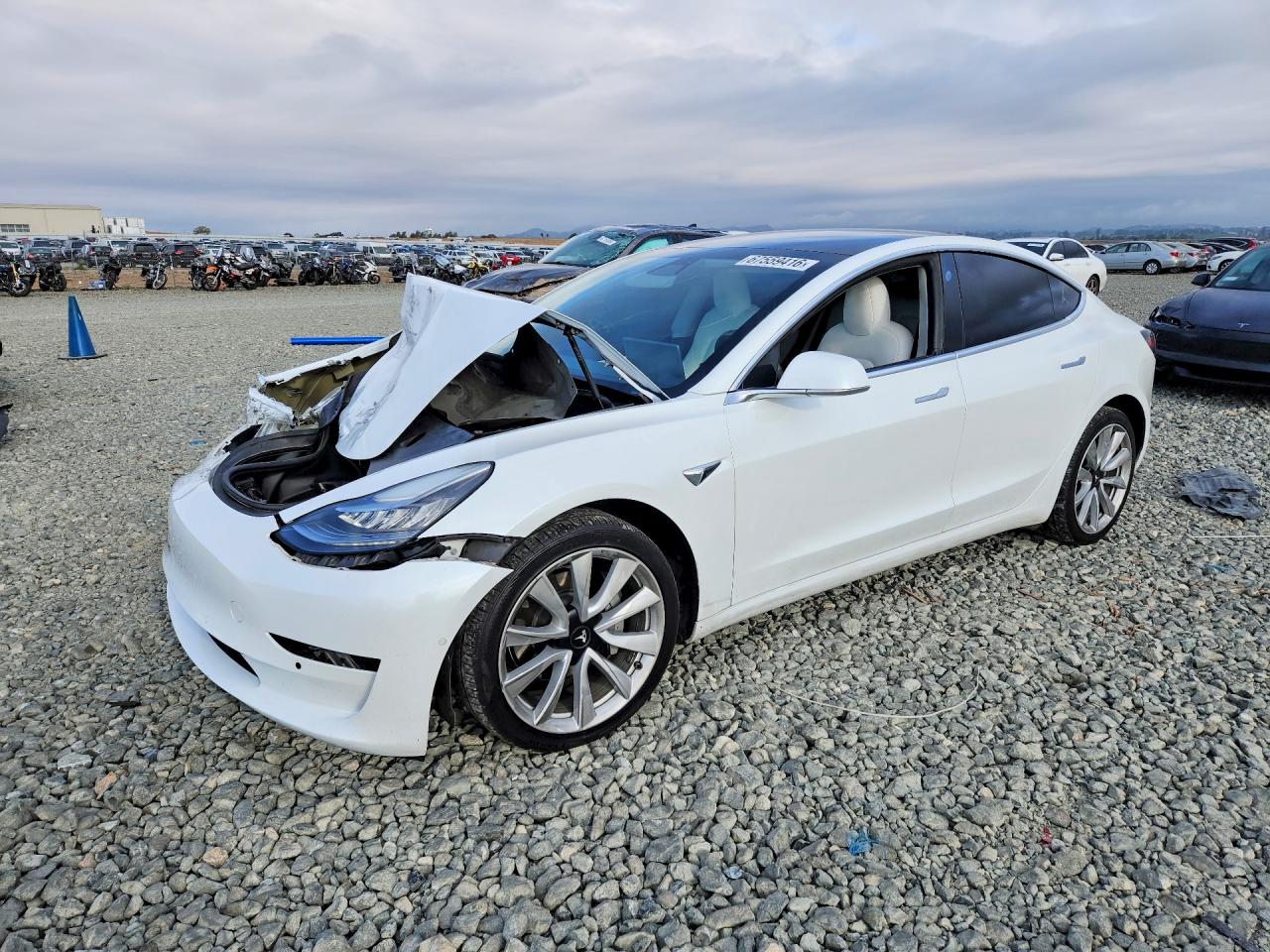 2019 TESLA MODEL 3 | 5YJ3E1EB2KF494820 | UPCARS
