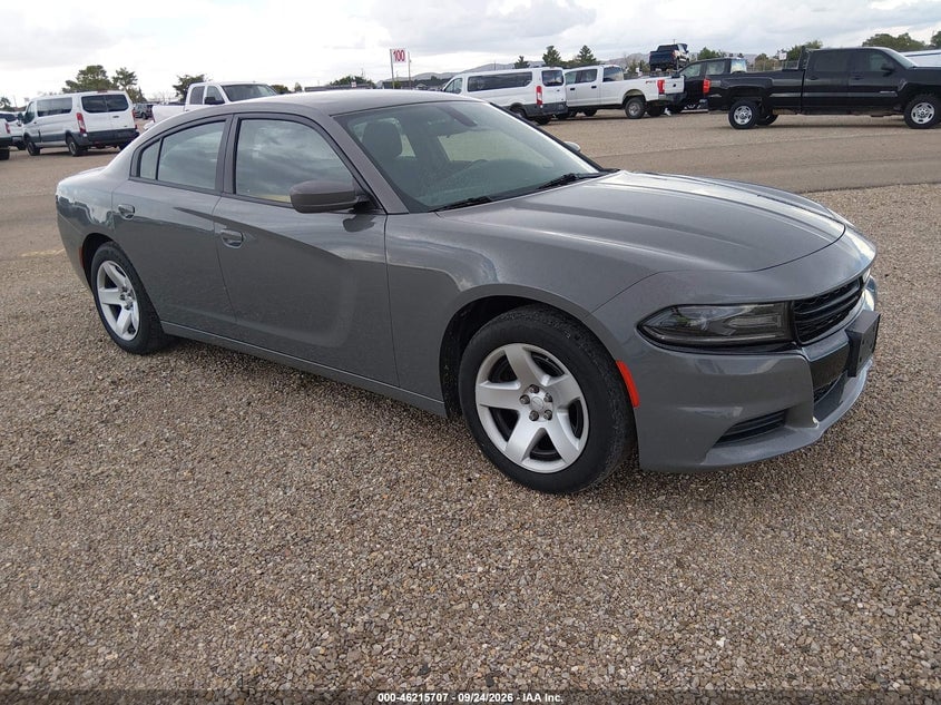 2019 DODGE CHARGER POLICE RWD | 2C3CDXAG2KH513727 | UPCARS