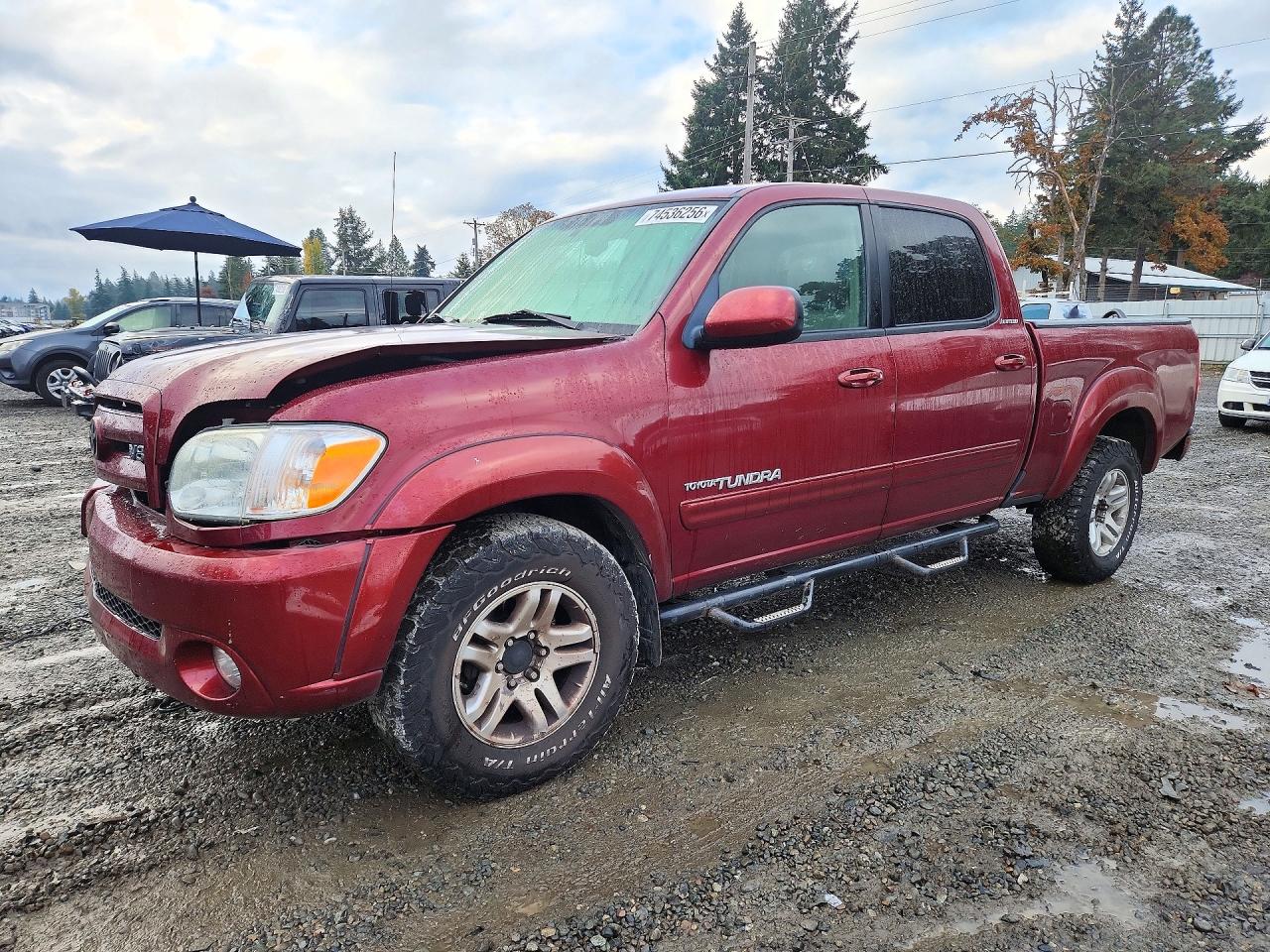 2005 TOYOTA TUNDRA DOUBLE CAB LIMITED | 5TBDT48115S489809 | UPCARS