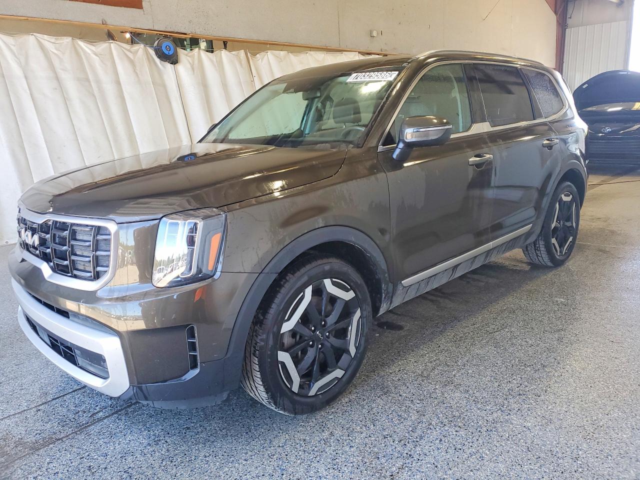 2025 KIA TELLURIDE S | 5XYP6DGC1SG571918 | UPCARS