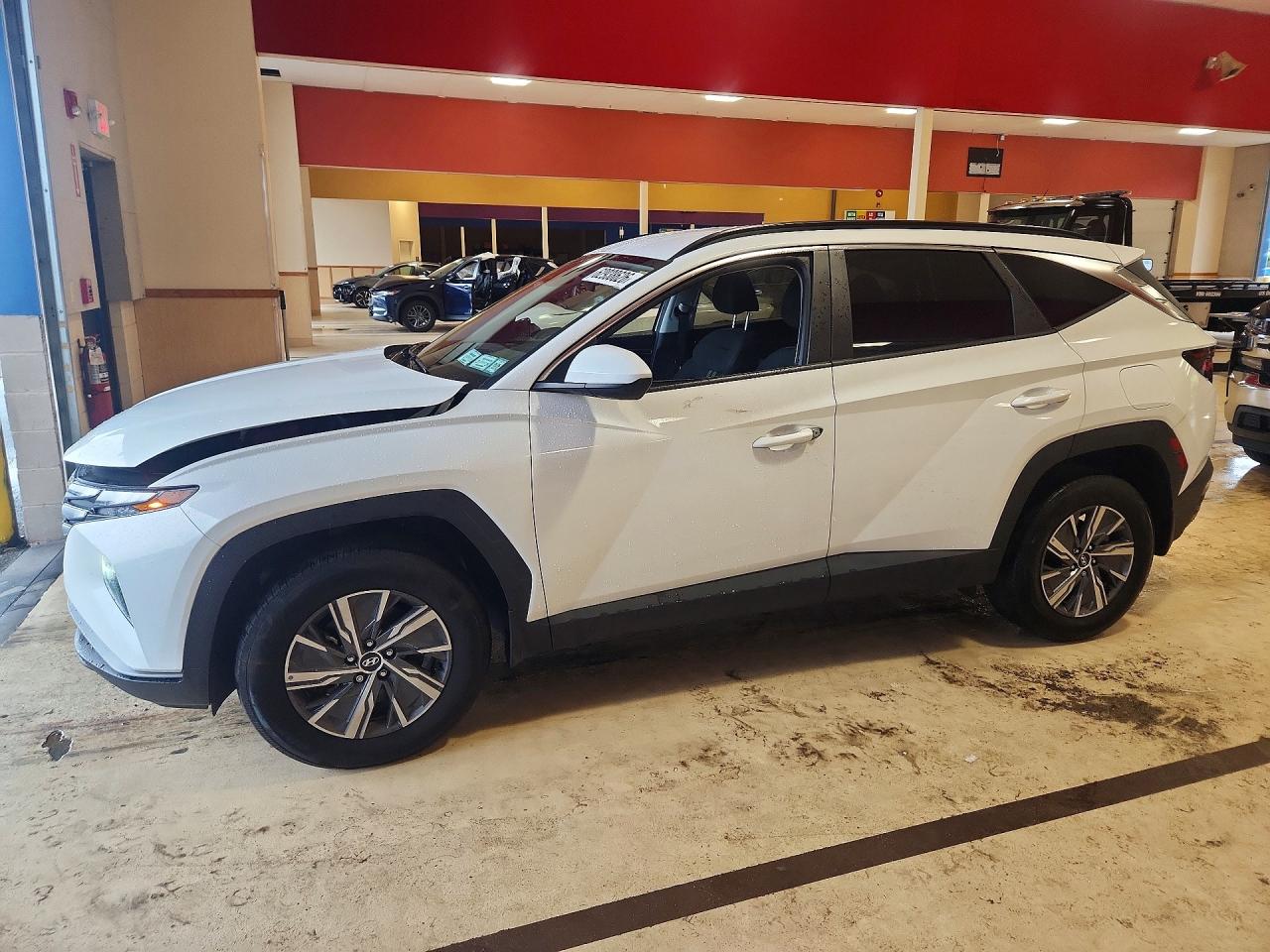 2024 HYUNDAI TUCSON BLUE | KM8JBCD10RU178074 | UPCARS