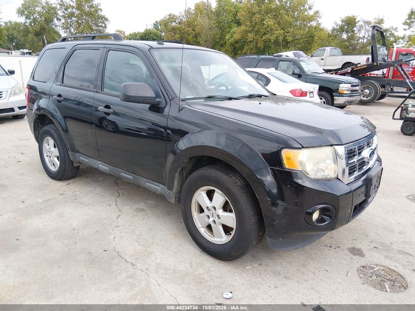 2010 FORD ESCAPE XLT | 1FMCU0DG9AKD19598 | UPCARS