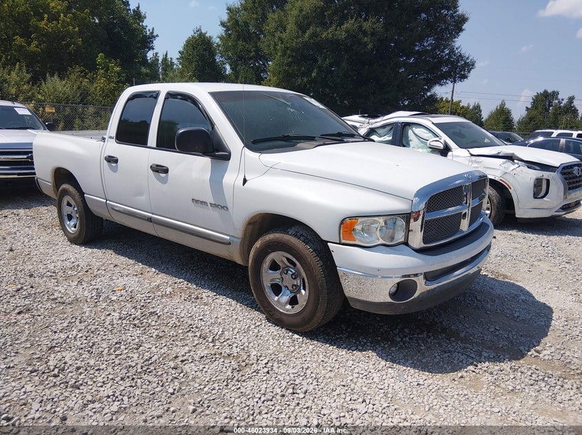 2002 DODGE RAM 1500 ST | 1D3HA18N92J164437 | UPCARS