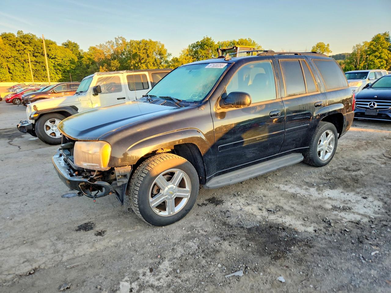 2009 CHEVROLET TRAILBLAZE LT | 1GNDT33S892130897 | UPCARS